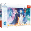 Explore the best puzzle in our collection In the starlight Trefl Puzzle (5900511142655)