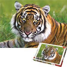 Explore the best puzzle in our collection Tiger Trefl Puzzle (5900511371925)