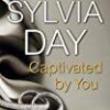 Explore the best English Book Captivated by You (9781405916400)