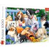 Explore the best puzzle in our collection TREFL Puzzles Dogs in the garden 1000 PIECES (5900511105568)