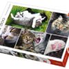 Explore the best puzzle in our collection Trefl Montage Cats Puzzle For Unisex- 1500 Pieces (5900511261455)