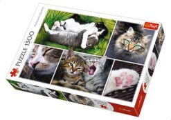 Explore the best puzzle in our collection Trefl Montage Cats Puzzle For Unisex- 1500 Pieces (5900511261455)