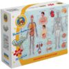 Explore the best puzzle in our collection Fluffy Bear SC-1035 Human Anatomy Puzzle – Multi Color (6223006020290)