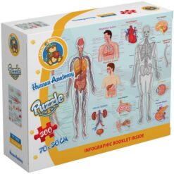 Explore the best puzzle in our collection Fluffy Bear SC-1035 Human Anatomy Puzzle – Multi Color (6223006020290)