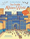 Best Book in Kalimat BookStore (See Inside the Ancient World) '9781409532897'