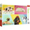 Explore the best puzzle in our collection Trefl 1000 pieces Cool dogs (5900511105780)
