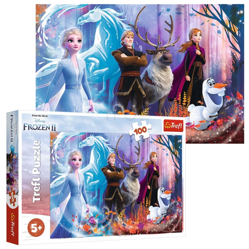 Explore the best puzzle in our collection TREFL Puzzles Disney Frozen 2 100 PIECES (5900511163667)