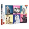 Explore the best puzzle in our collection TREFL Puzzles Kittens 500 PIECES (5900511373776)