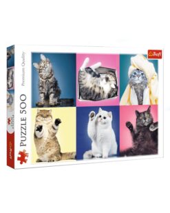 Explore the best puzzle in our collection TREFL Puzzles Kittens 500 PIECES (5900511373776)