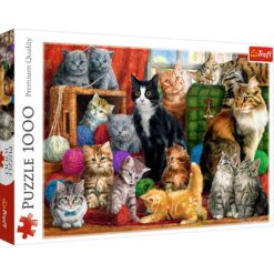 Explore the best puzzle in our collection Feline Meeting Puzzle 1000Pcs (5900511105551)