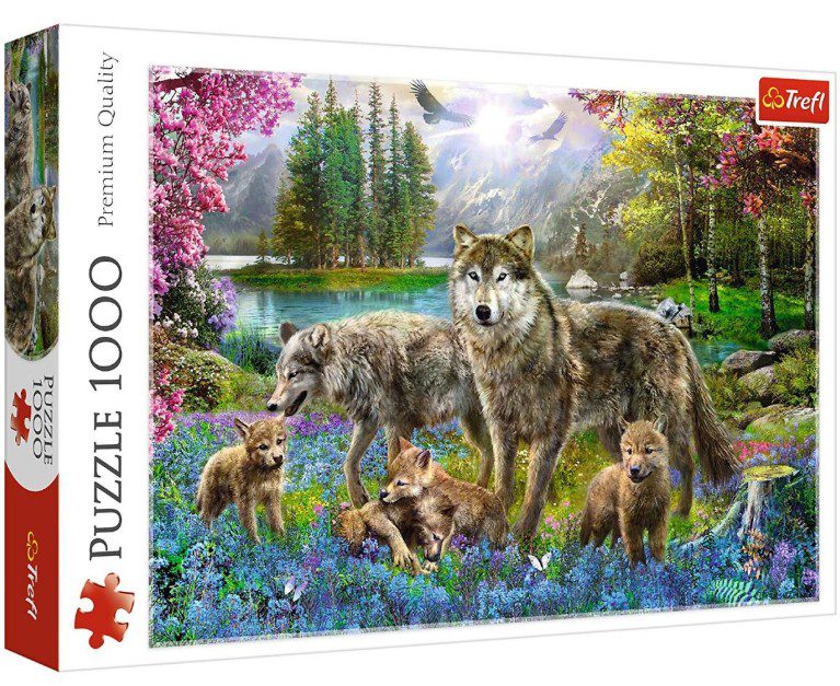 Explore the best puzzle in our collection Lupine family Puzzle 1000 Pieces (5900511105582)