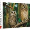 Explore the best puzzle in our collection Owls puzzle  1000 pieces (5900511106039)