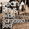 Explore the best English Book Wide Sargasso Sea (9780141182858)
