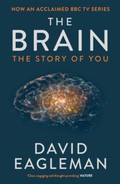 Explore the best English Book The Brain: The Story of You (9781782116615)