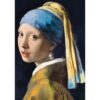 Explore the best puzzle in our collection Trefl  Johannes Vermeer: “Girl with a pearl earring”  1000 pieces puzzle (5900511105223)