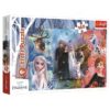Explore the best puzzle in our collection Trefl Frozen II Puzzle -160 Pieces (5900511154061 )