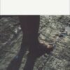 Explore the best English Book The Fall (9780141187945)
