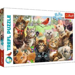 Explore the best puzzle in our collection XXL Pieces – Kittens 260 piece jigsaw puzzle (5900511132410)
