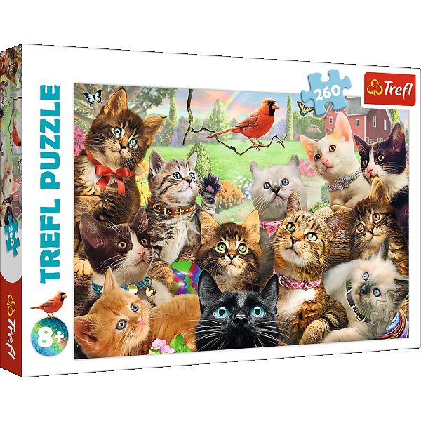 Explore the best puzzle in our collection XXL Pieces – Kittens 260 piece jigsaw puzzle (5900511132410)