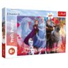 Explore the best puzzle in our collection Trefl  Frozen ​Puzzle – 260 Pieces (5900511132502)