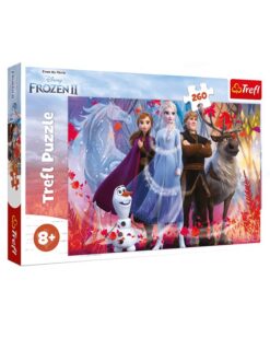 Explore the best puzzle in our collection Trefl  Frozen ​Puzzle – 260 Pieces (5900511132502)