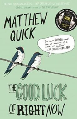 Explore the best English Book The Good Luck of Right Now (9781447247487)