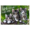 Explore the best puzzle in our collection XXl Pieces – Best Friends Forever 260 piece jigsaw puzzle (5900511132151)
