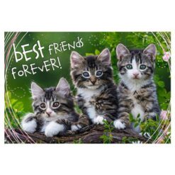 Explore the best puzzle in our collection XXl Pieces – Best Friends Forever 260 piece jigsaw puzzle (5900511132151)