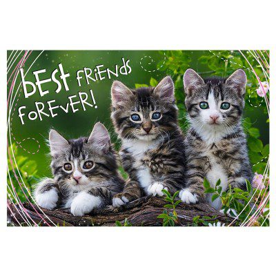 Explore the best puzzle in our collection XXl Pieces – Best Friends Forever 260 piece jigsaw puzzle (5900511132151)