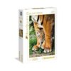Explore the best puzzle in our collection Clementoni – 35046 – Collection Puzzle for Adults and Children- Bengal Tiger Cub between Its mother’s legs – 500 Pieces (8005125350469)