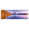 Explore the best puzzle in our collection Clementoni High Quality Collection 39608, Lake Wanaka Tree Panorama Puzzle – 1000 pieces, Ages 10 Years Plus (8005125396085)