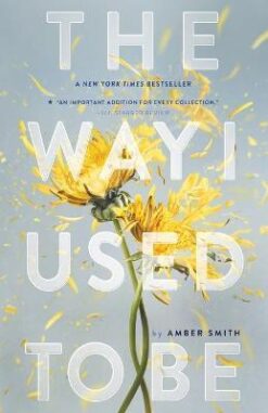 Explore the best English Book The Way I Used to Be (9781481449366)