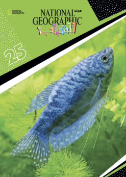 Best Book in Kalimat BookStore (مجلد ناشيونال رقم25) '6221133021630'