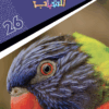 Best Book in Kalimat BookStore (مجلد ناشيونال رقم26) '6221133021647'