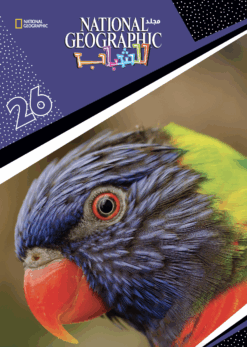 Best Book in Kalimat BookStore (مجلد ناشيونال رقم26) '6221133021647'