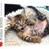 Explore the best puzzle in our collection Puzzles Cheerful Kitten New 1000 Pcs (5900511104486)