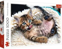 Explore the best puzzle in our collection Puzzles Cheerful Kitten New 1000 Pcs (5900511104486)