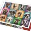 Explore the best puzzle in our collection Funny Dog Puzzle (5900511104622)