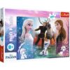 Explore the best puzzle in our collection Trefl Frozen –  Puzzle 300 pieces (5900511230062)