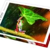 Explore the best puzzle in our collection Fun Frog Puzzle (5900511372885)
