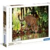 Explore the best puzzle in our collection Leopard – 2000 el. – High Quality Collection (8005125325375)