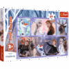 Explore the best puzzle in our collection Trefl 24 piece Maxi puzzle – Frozen 2 – Magical world (5900511143454)