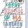 Best Book in Kalimat BookStore (A Very Large Expanse of Sea) '9781405292603'