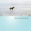 Untethered Soul