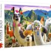 Explore the best puzzle in our collection Lamas In The Mountains 500 Pcs (5900511373837)