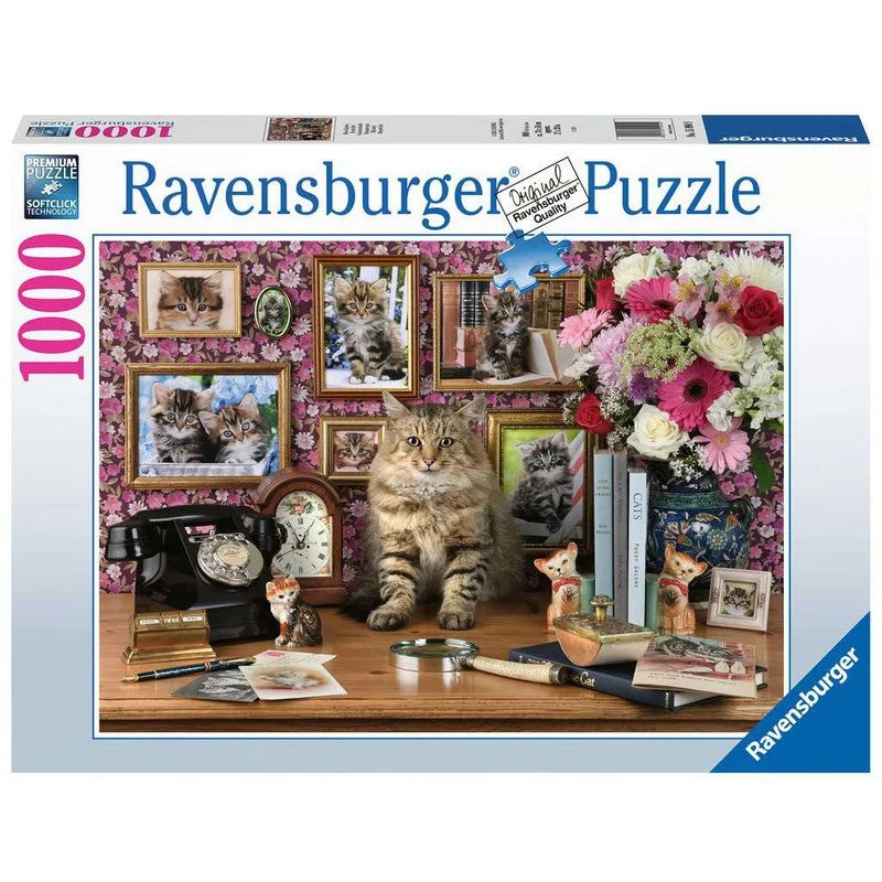 Explore the best puzzle in our collection Cute Kitty 1000 Piece Jigsaw (4005556159949)