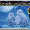 Explore the best puzzle in our collection Ravensburger Adult Puzzle Owls in the Moonlight Starline 500pc (4005556165957)