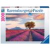 Explore the best puzzle in our collection Lavender Field 1000 piece jigsaw puzzle (4005556167241)
