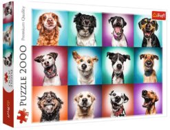 Explore the best puzzle in our collection Funny Dog Portraits 2000 piece jigsaw puzzle (5900511271195)