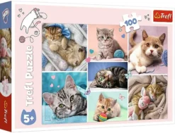 Explore the best puzzle in our collection Puzzle 100 pieces In the cat world of Trefl (5900511164206)